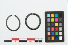 Foto von Bronzering (NHMW-PRAE-025571)